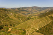 Douro Valley
