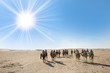 Sahara desert with sun and tourists