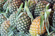 Pineapple.