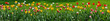 Floral panorama