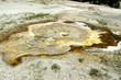 Geyser nello Yellowstone NAtional Park in Wyoming