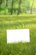 Foto: blank paper blank paper