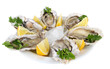 Oysters isolated on white