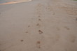 Photo: Footprints in the Sand Footprints in the Sand