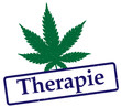 Vector: Therapie Therapie