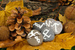 Fortune telling  with symbols on stones close up