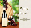 Composition of wine, wooden barrel and  grape,