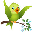 Green bird on tree branch