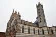 Siena - il Duomo