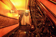 Photo: golden lights golden lights