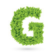 Vector: Letter of green leaves with shadow Letter of green leaves with shadow