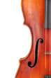 Classical violin isolated on white