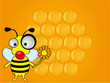 Honey bee