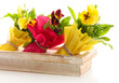 Beautiful spring flowers in wooden crate isolated on white