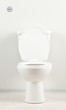 White toilet bowl in a bathroom