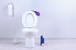 White toilet bowl and  cleaner bottle in a bathroom