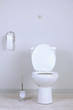 White toilet bowl in a bathroom