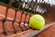 Tennis ball on the net