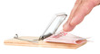 A mouse trap with money