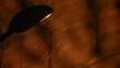 Video: Night under the rain Night under the rain