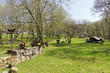 Spring time in village