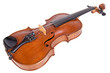 vilola on a white background.