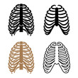 vector human rib cage symbols
