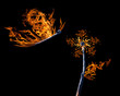 Photo: flower and butterfly shapes flame on matches flower and butterfly shapes flame on matches