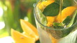 a glass with lemon, mint and ice cubes