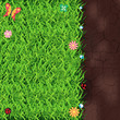 Vector grass and soil background