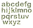 Illustrated alphabet set 2