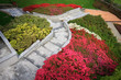 giardino fiorito a Faggeto Lario - lago di Como