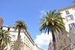 Photo: ajaccio 2 ajaccio 2