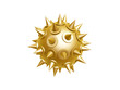golden morning star