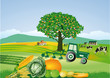 Landwirtschaft und ernten