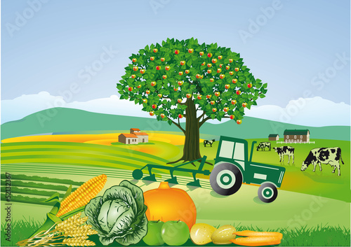 Vector: Landwirtschaft und ernten Landwirtschaft und ernten
