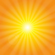 sunshine