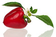 Photo: Red pepper Red pepper