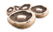 Healthy fresh mushroom on white background