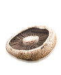 Healthy fresh mushroom on white background
