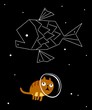 Star cat