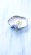 Grape Hyacinth
