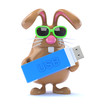 Chocolate bunny always backs up his data