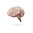 Brain abstract isolated on a white backgrounds