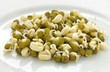 Sprouted mung beans on white plate close up