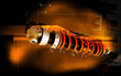 Illustration: Shock Absorber Shock Absorber