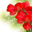 Bunch of bright flowers