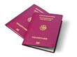 Foto: two new german biometric passports two new german biometric passports