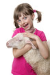 little girl with a sheep isolated on a white background