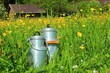 gesunde milch